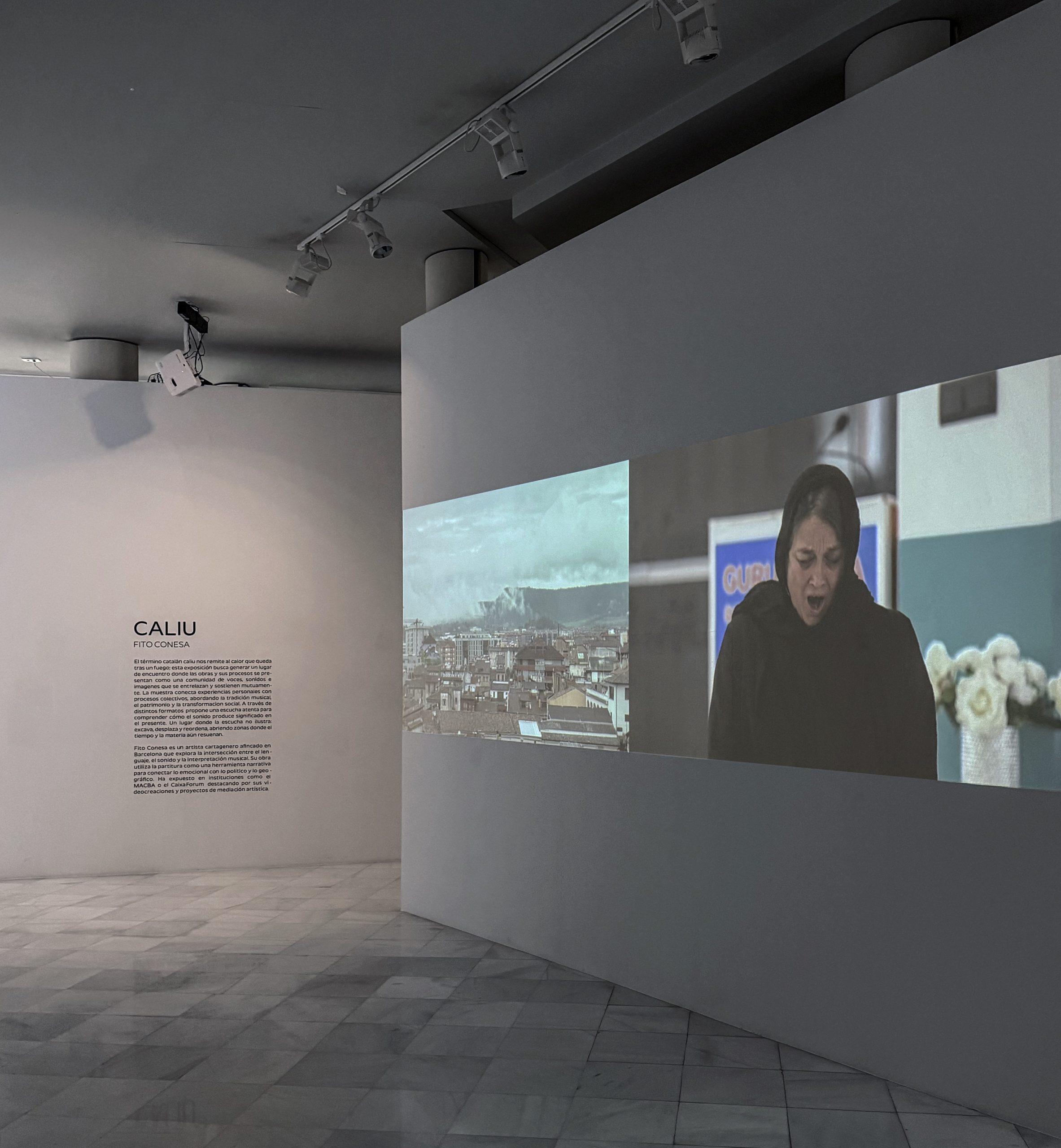 CALIU — EXPOSICIÓN DE FITO CONESA EN EL PALACIO CONSISTORIAL DE CARTAGENA