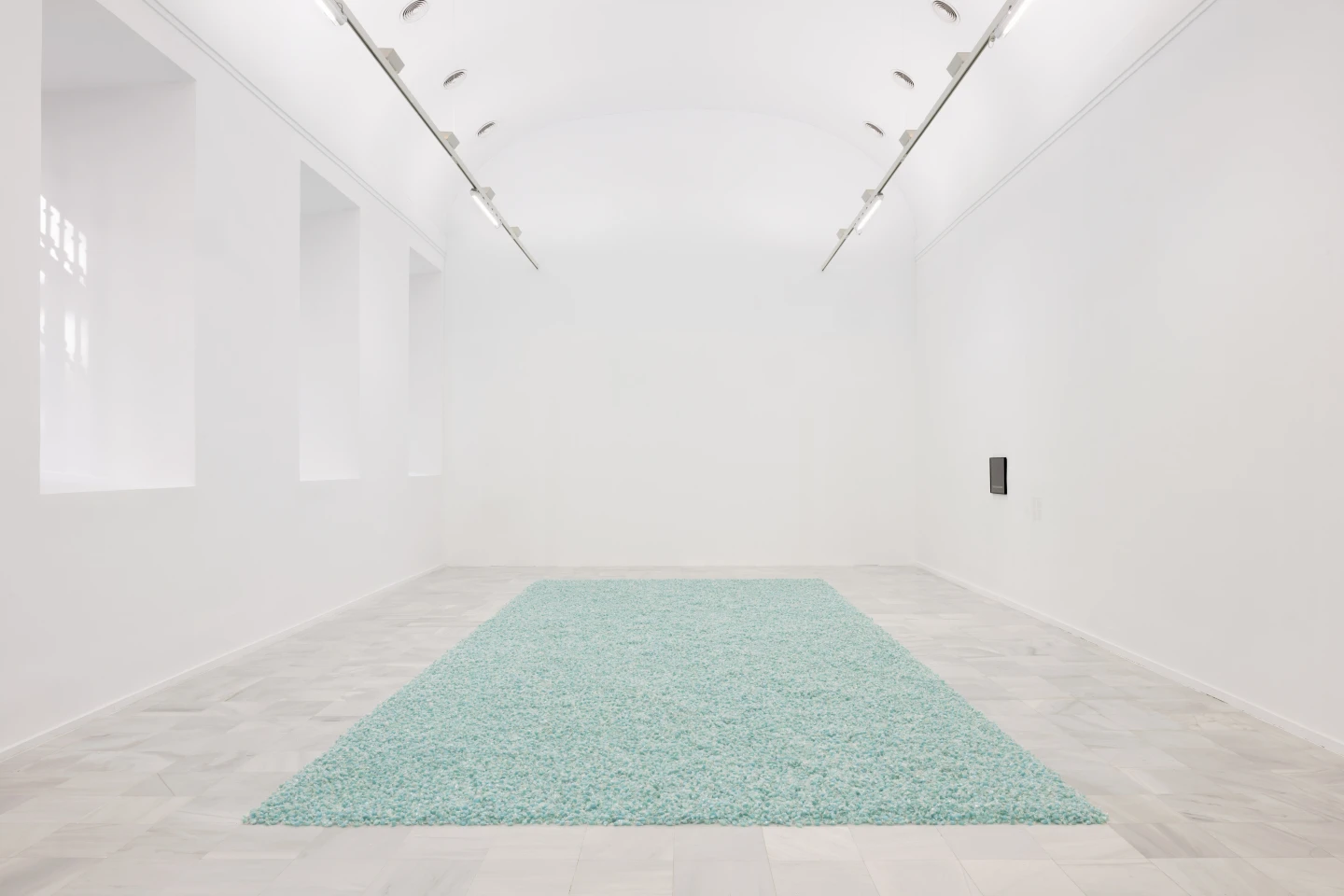 Musel Nacional Reina Sofía. Felix Gonzalez-Torres. Dulce Venganza
